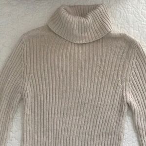 pettie sweater dress or xl turtle neck